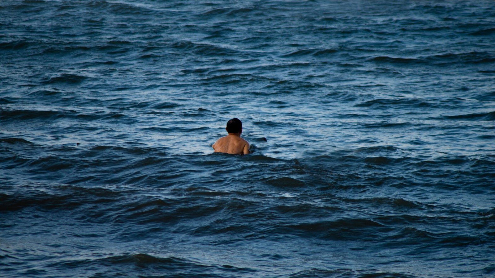 Lone swimmer in the open ocean water
