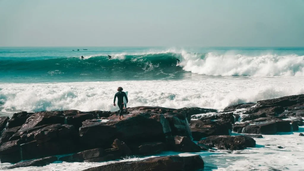 surf forecast