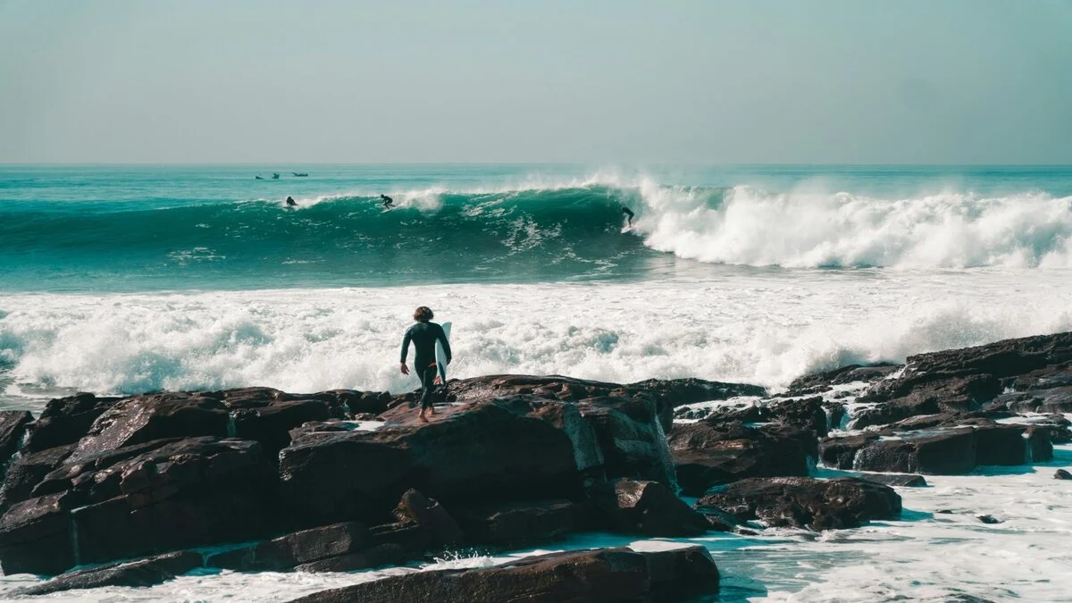 surf forecast